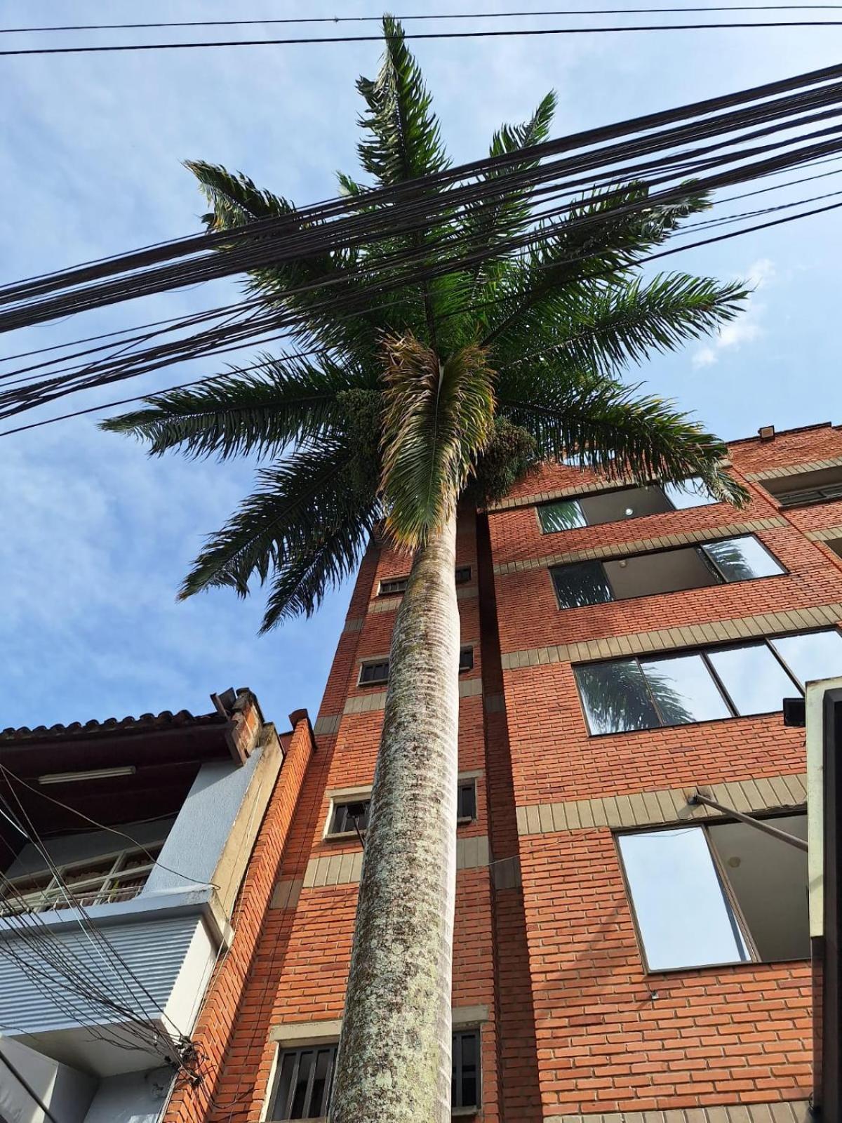 Hotel Suramericana Medellín Kültér fotó